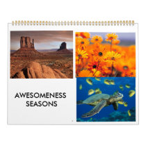 Garden, Desert Landscape, Green Sea Turtle, AWE... Wall Calendars