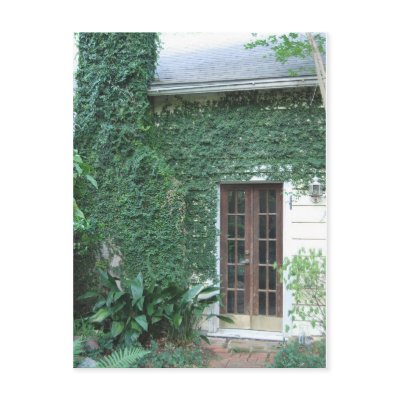 Garden Door ©2008 Postcard by smilodonart