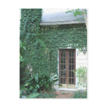 Garden Door ©2008 Postcard