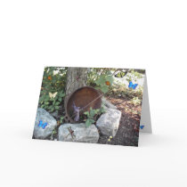 Garden Enchantment Greeting Card