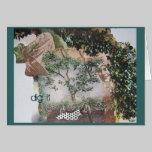 Garden Excavation cards