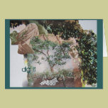 Garden Excavation cards