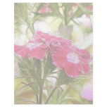 Garden Fantasy - Sweet Williams Personalized Letterhead