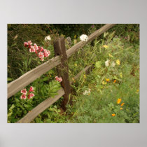 Garden Fence Print