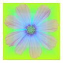 Garden Flower-5-poster posters
