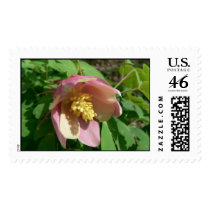 Garden flower. stamps