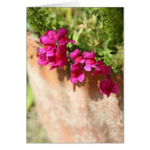 Garden Flowerpot Blank Card