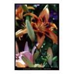 Garden Flowers #2