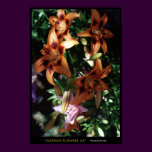Garden Flowers #3