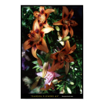 Garden Flowers #3 posters by GatorDawg Garden Flowers #3 posters