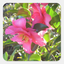 Garden Flowers CricketDiane Art & Photography Stickers