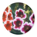 Garden Flowers magnets by StephenBoyle Garden Flowers magnets