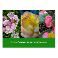 garden flowers, nursery business card business card templates