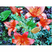 Garden Flowers photo sculptures