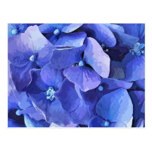 GARDEN FLOWERS POST CARD