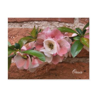 GARDEN FLOWERS UK postcard