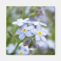 Garden Forget Me Nots Magnet