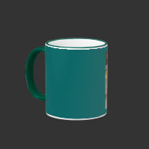 Garden Fox mugs