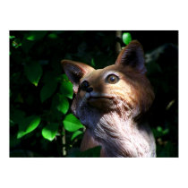 Garden Fox posters by dduhaime55 Garden Fox posters