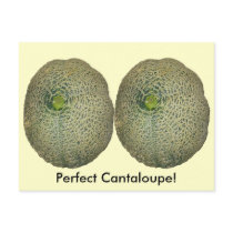 Garden Fresh Cantaloupe Post Card