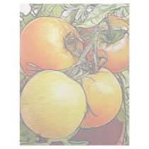 Garden Fresh Heirloom Tomatoes Letterhead Design