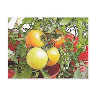 Organic Gardening