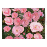 Garden full of Roses Card Garden full of Roses Card