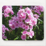 Garden Glory in Phlox mousepads