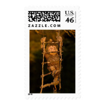 garden gnome postage