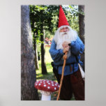 Garden Gnome