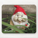 Garden gnomes