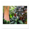 Garden Goodness posters by sexycher Garden Goodness posters
