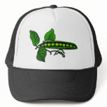 Garden Green Pea Pods hats