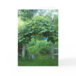 Garden Greeting Greeting Card