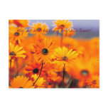 Garden, Hey we are having a grate time! postcards