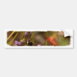 Garden HoneyBee; No Text Bumper Sticker
