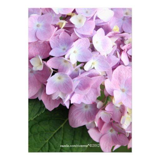 Garden Hydrangeas Wedding Invitation