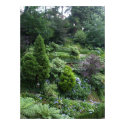 Garden II Poster posters