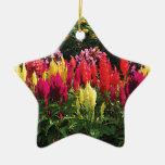 Garden in Elizabeth Park Christmas Tree Ornaments