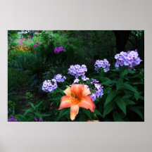Garden in Light and Shadow Poster