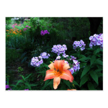 Garden in Light & Shadow Postcards