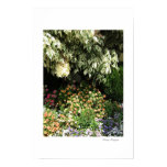 Garden in The Shade - poster or print posters