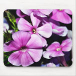Garden Laura Phlox Flowers Mousepads