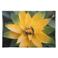 Garden leafy plant yellow leaves, placemats
