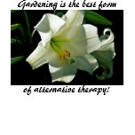 Garden Lover's Tee for Women t-shirts