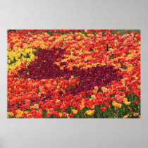 Garden Of Color posters