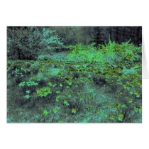 Garden of earthly? delights cards