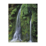 Garden of Eden Postcard