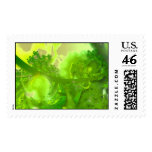 Garden of Eternity Stamps