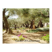 Garden Of Gethsemane Christianity Posters posters